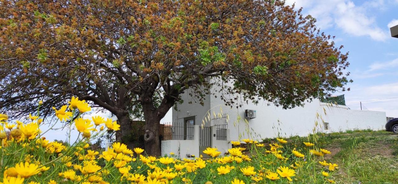 Traditional Suburbs Maisonette Kos Town Exterior photo